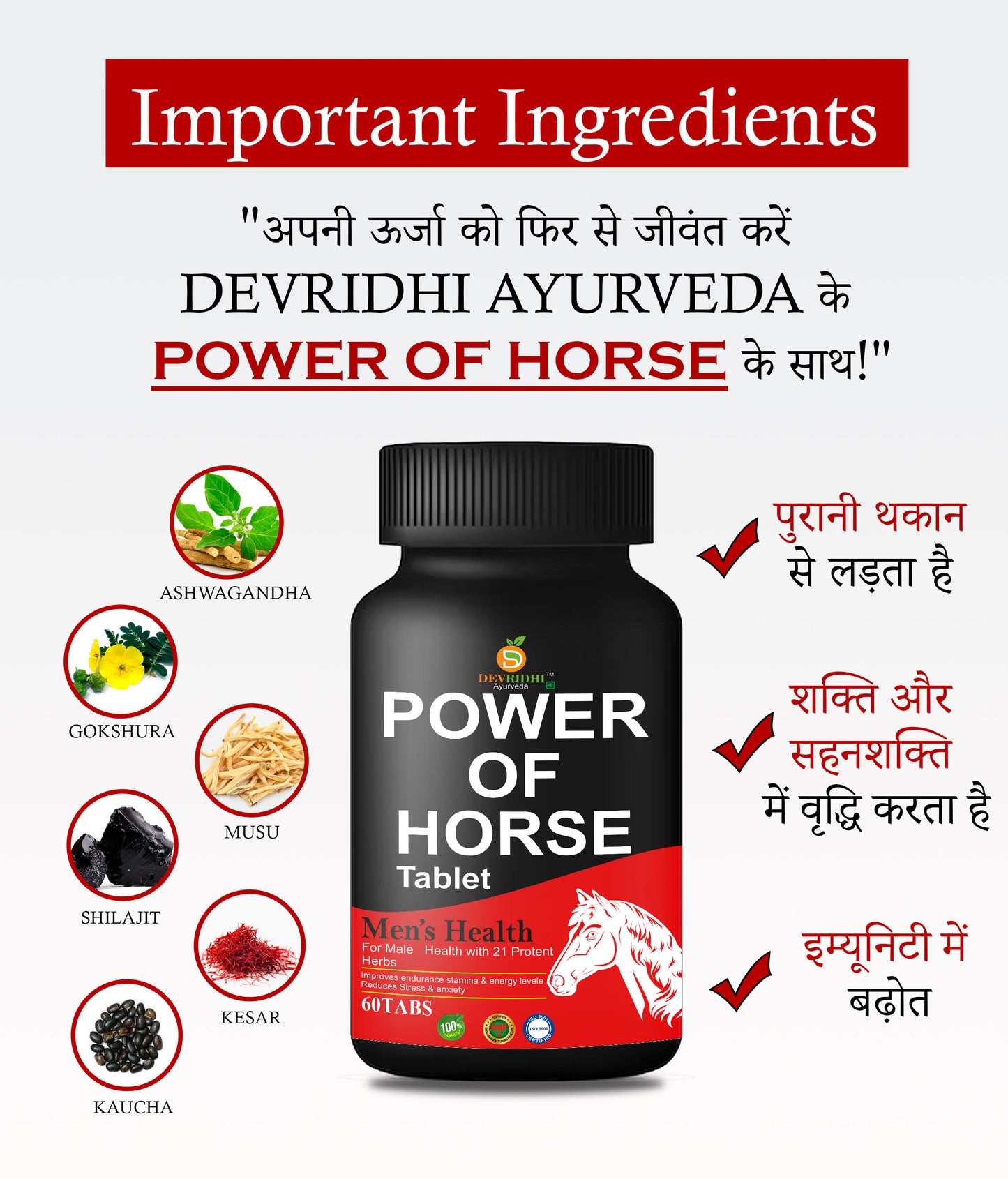 Devridhi Ayurveda Power Of Horse – Explosive Strength and Pure Energy Boost